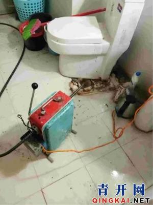 膠南疏通下水道,膠南投下水道投馬桶,膠南管道清淤抽污水電話