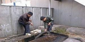圖 津南區雙港新家園,金地格林專通下水道,安裝馬桶地漏 天津管道維修