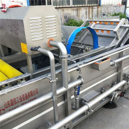 河南鮮菇氣泡清洗加工機免費包郵 山東嘉信